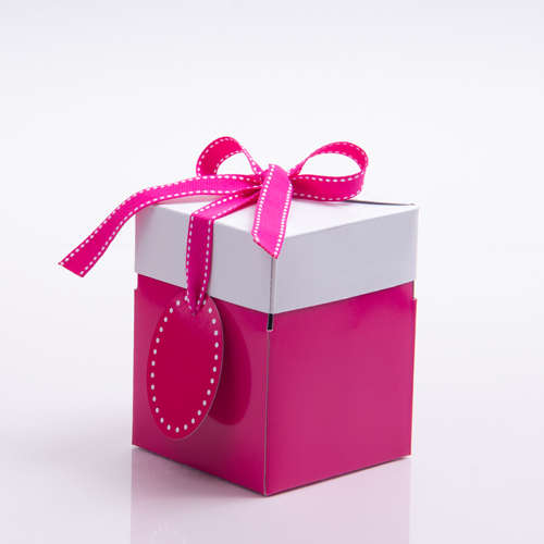 Ribbon Tied Two-Tone Gift Boxes | Ready to use gift boxes