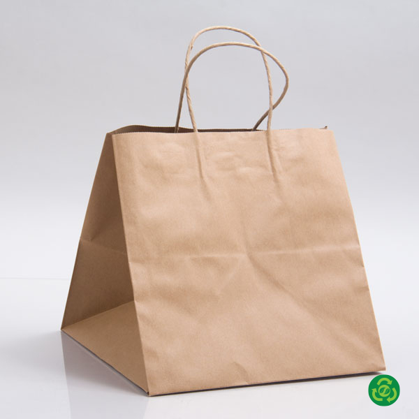 Luxury Shopping White Kraft Paper Bag with Handle - Cxgiae