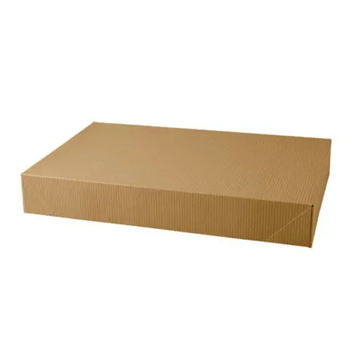 17X11X2.5 NAT. KRAFT APPAREL BOX