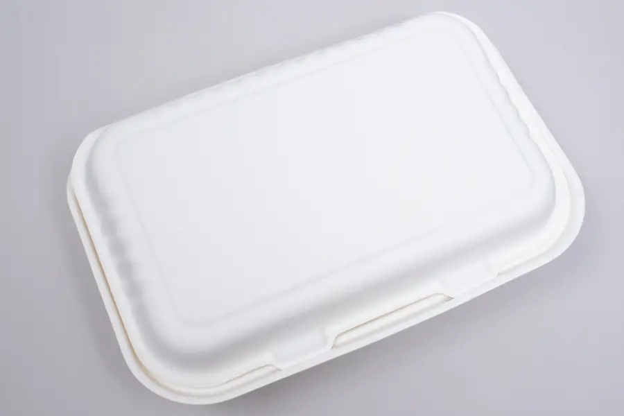 9 X 6 BAGASSE HINGE LID BOX WHITE 1 SECTION