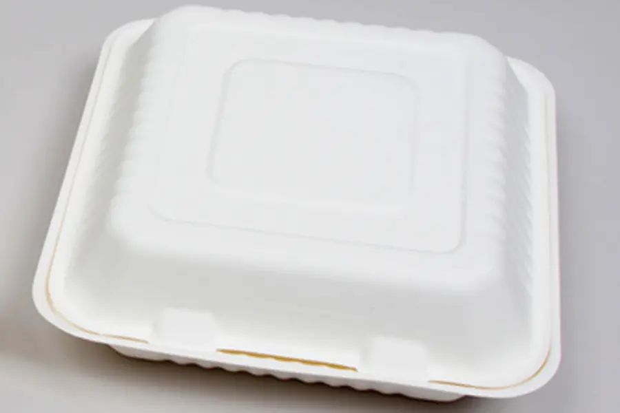 9 X 9 X 3-1/5 BAGASSE HINGE LID BOX WHITE 1 SECTION