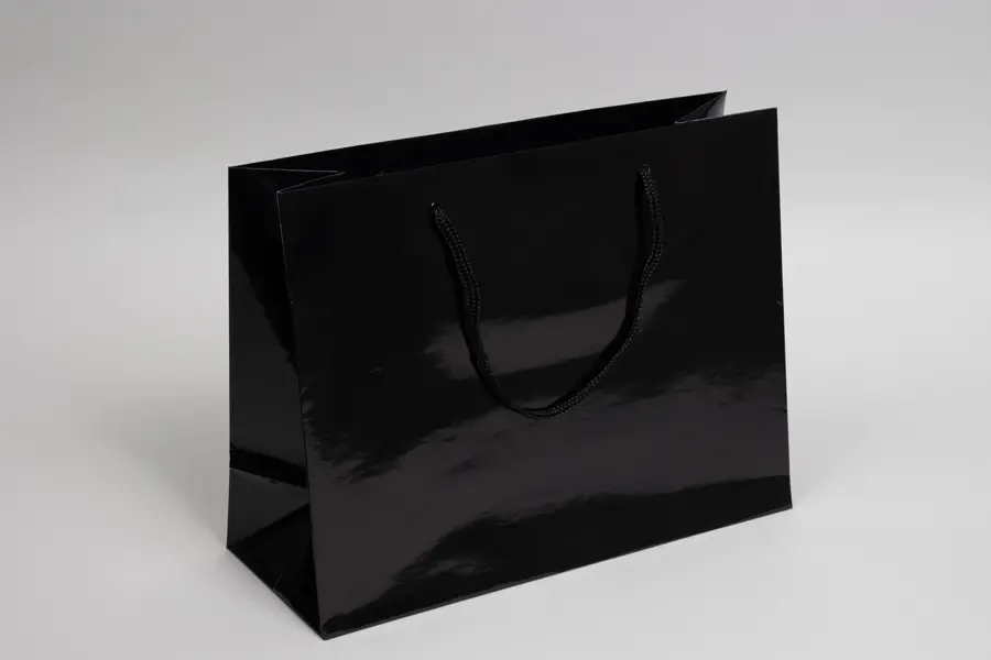 13X5X10 GLOSS BLACK EUROTOTE