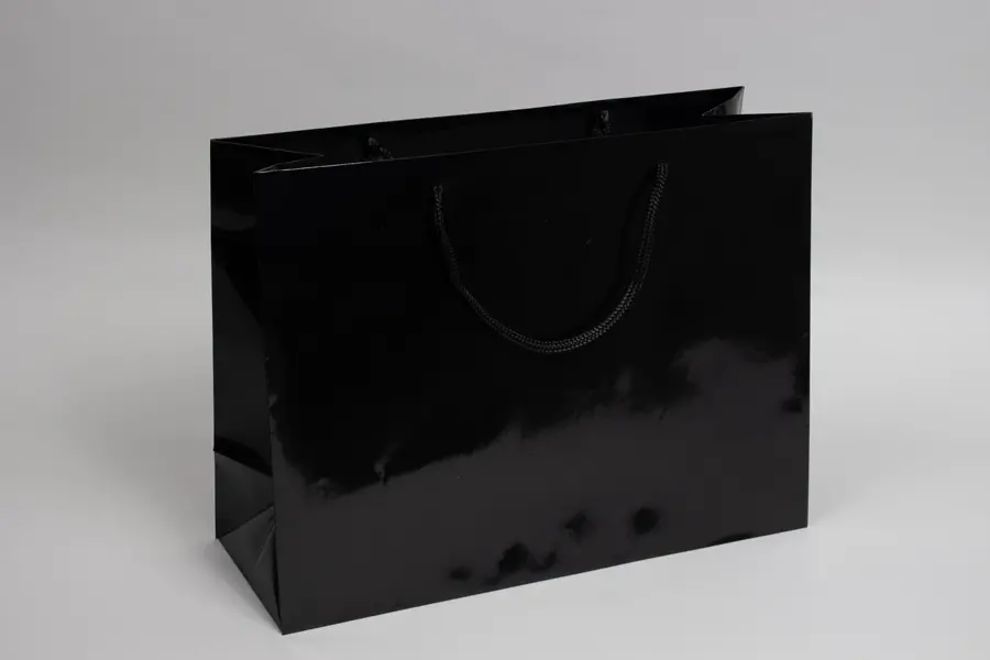 16X6X12 GLOSS BLACK EUROTOTE