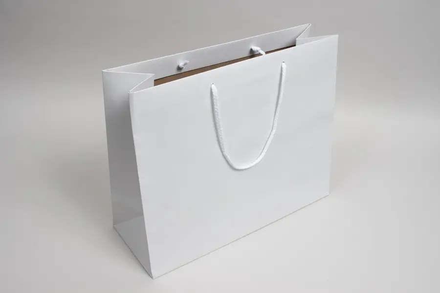 16X6X13 ENVIRO - WHITE EUROTOTE