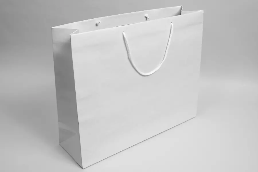 20X6X16 ENVIRO - WHITE EUROTOTE