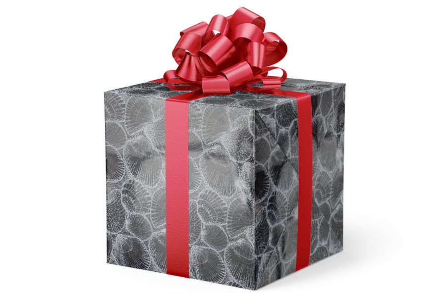 24-in x 417-ft Silver Shells Gift Wrap (GW-9518)