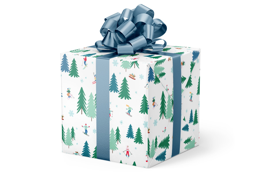 24-in x 417-ft Hitting the Slopes Gift Wrap (GW-9519)