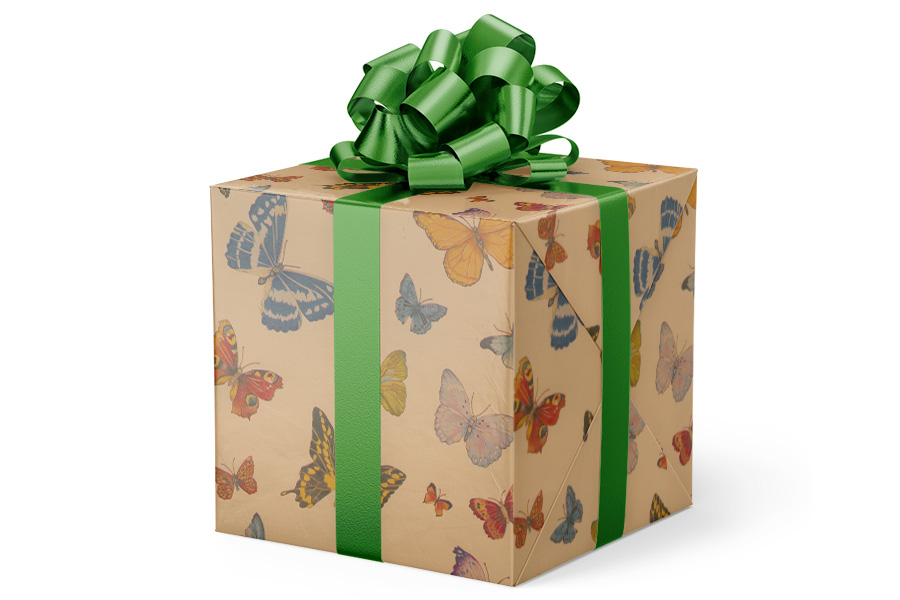 24-in x 417-ft Butterflies Budget-Friendly Wrapping Paper (VAL-5014)