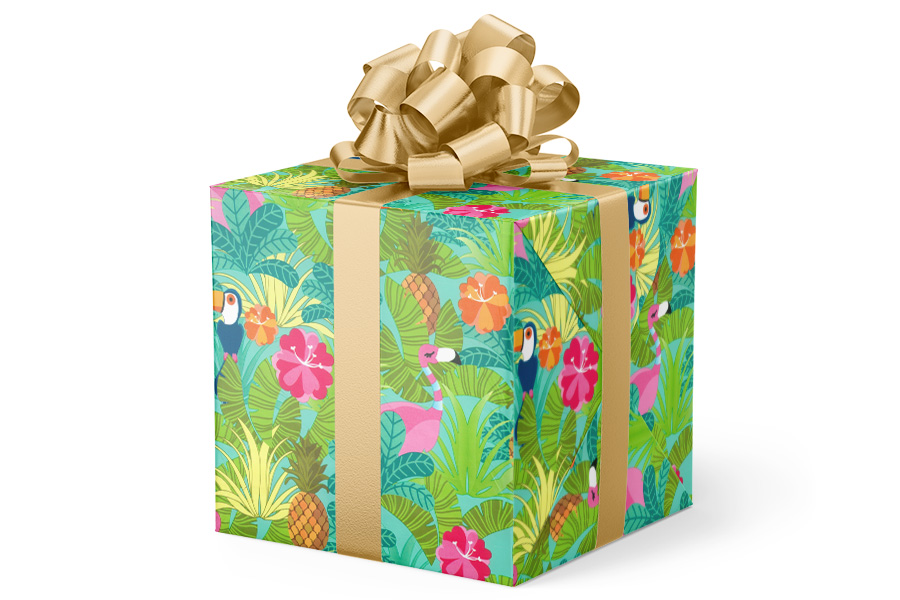 24-in x 417-ft Two Can Play Budget-Friendly Wrapping Paper (VAL-507)